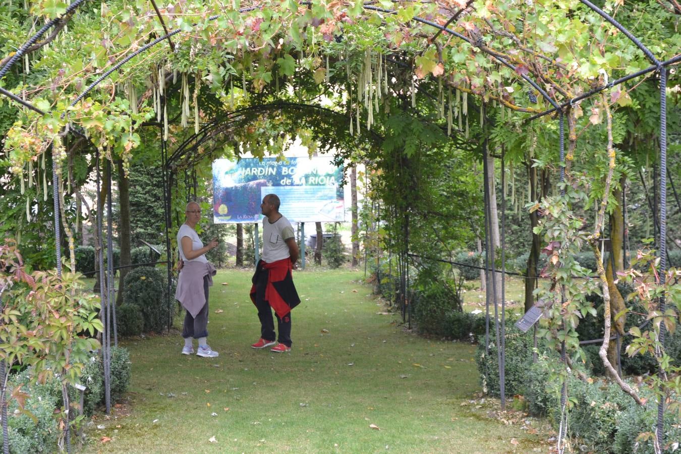 Fiesta de la Tercera Edad de Azofra. Puertas Abiertas en el Jardín Botanico