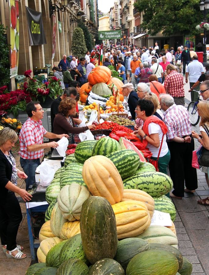 Logroño se vuelve huerta