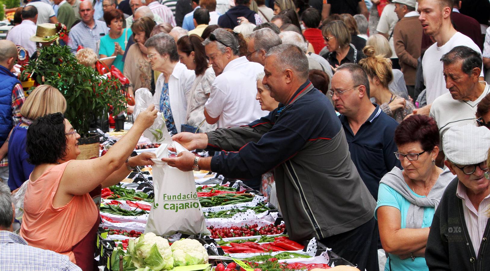 Logroño se vuelve huerta