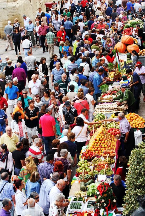 Logroño se vuelve huerta