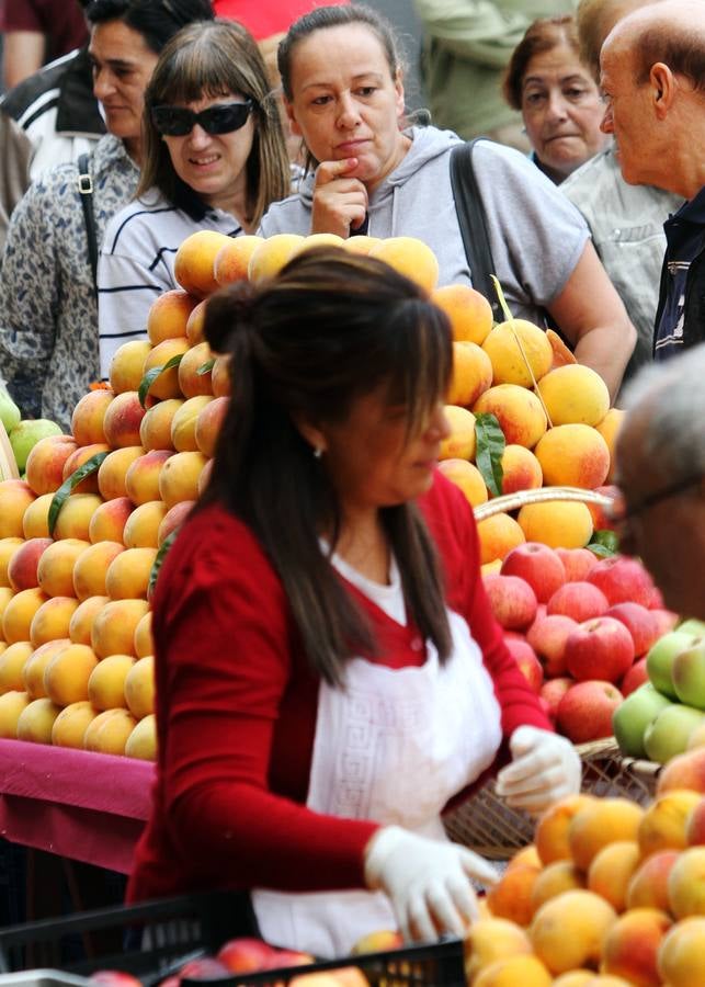 Logroño se vuelve huerta