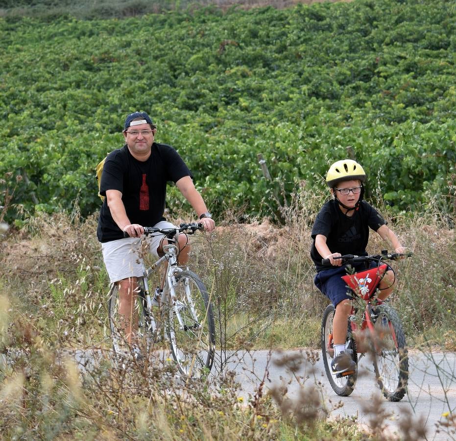 Más de 200 participantes en el quinto Bicipicnic de &#039;El Rioja y los 5 Sentidos&#039;