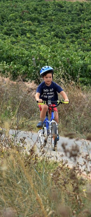 Más de 200 participantes en el quinto Bicipicnic de &#039;El Rioja y los 5 Sentidos&#039;