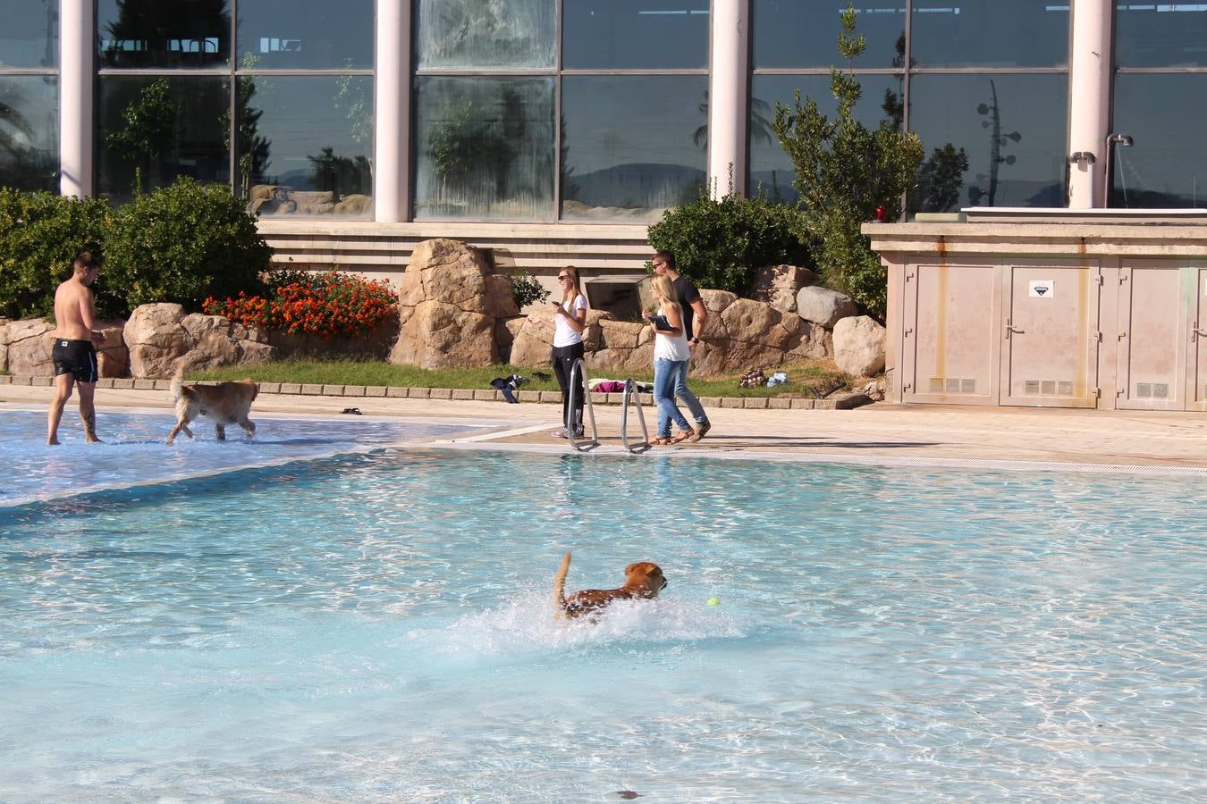 Baño canino en Calahorra