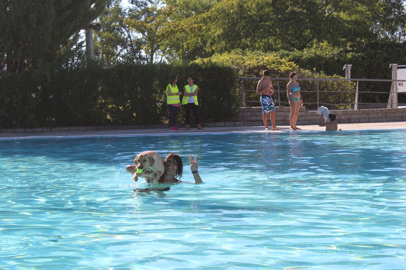 Baño canino en Calahorra