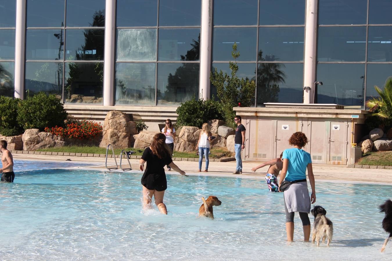 Baño canino en Calahorra