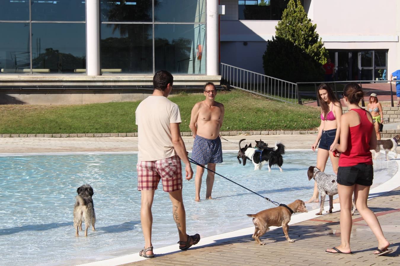 Baño canino en Calahorra