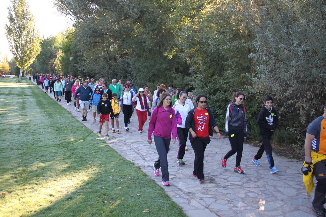 Un caminar unido y sin atajos