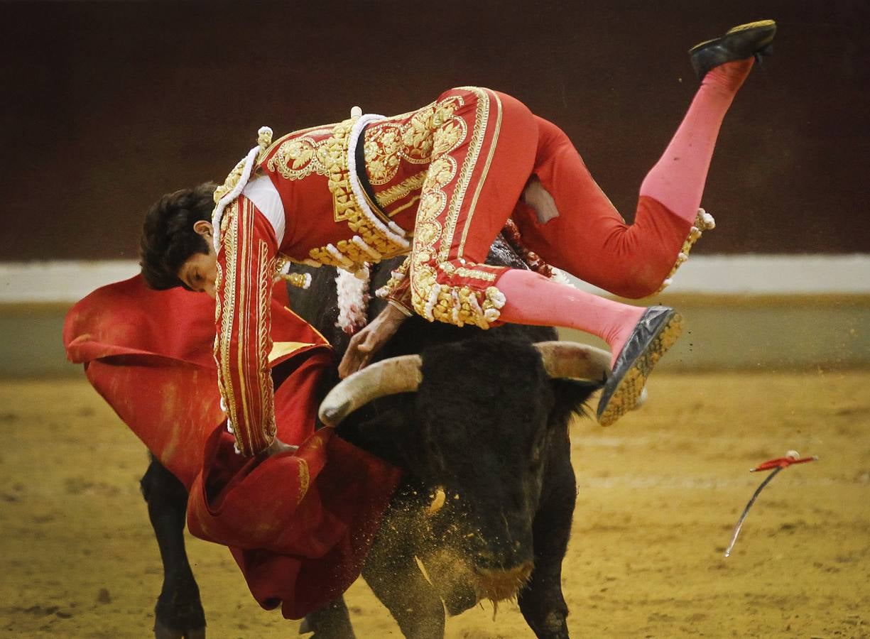 Toros: última de feria