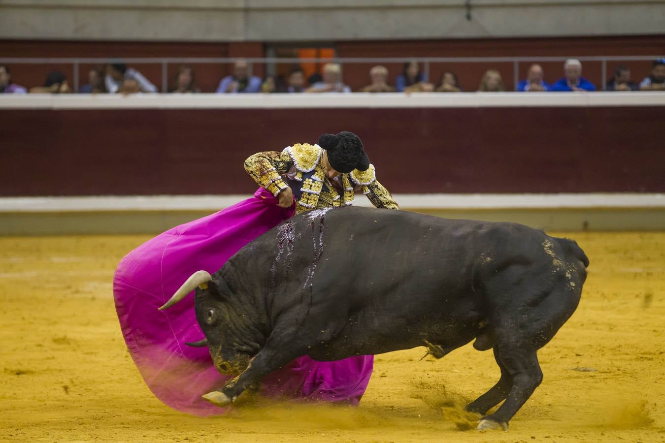 Toros: última de feria