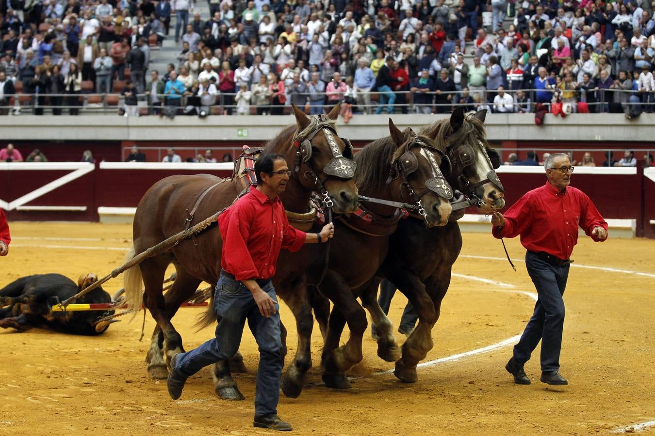 Toros: última de feria