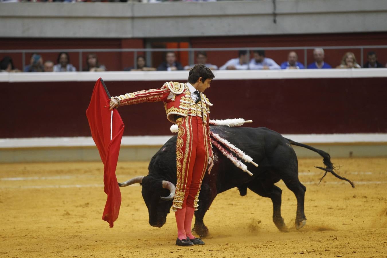 Toros: última de feria