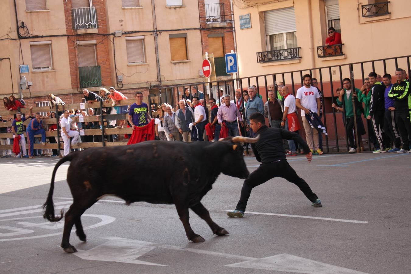 Encierro, Gorgorito, degustaciones...en el cuarto día de fiestas de Arnedo