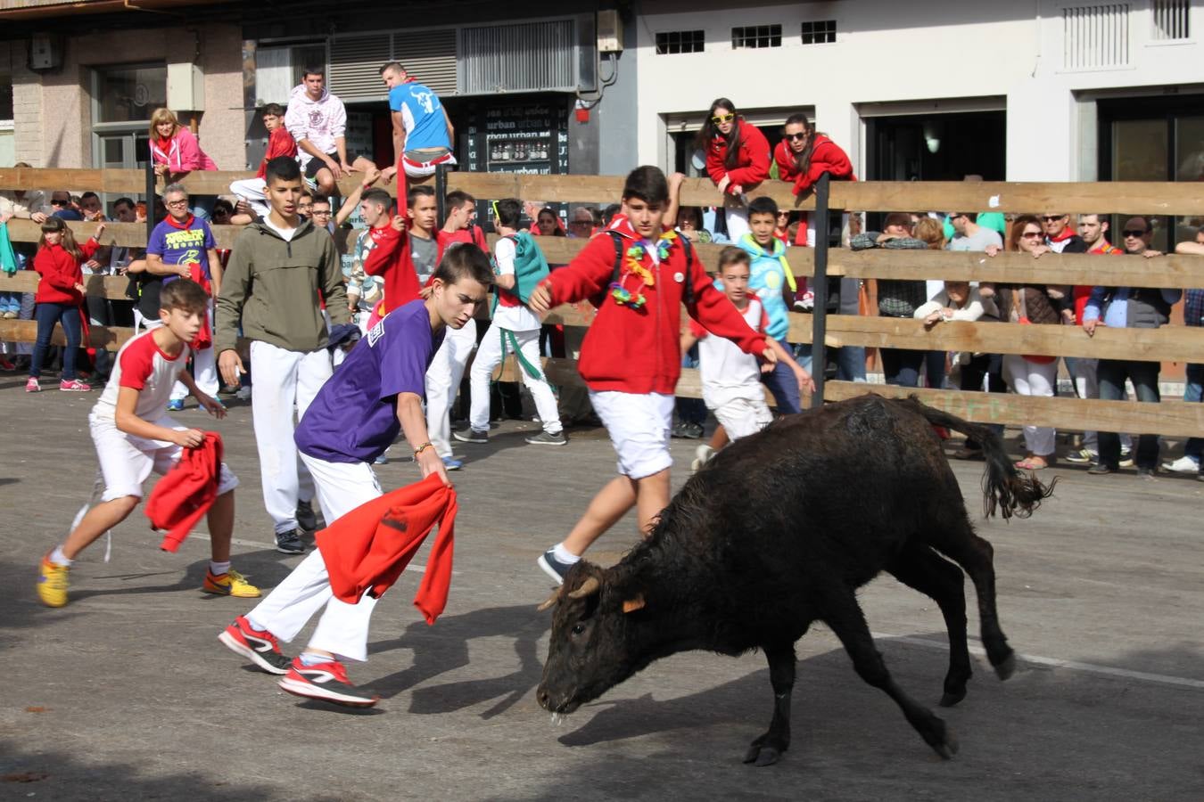 Encierro, Gorgorito, degustaciones...en el cuarto día de fiestas de Arnedo