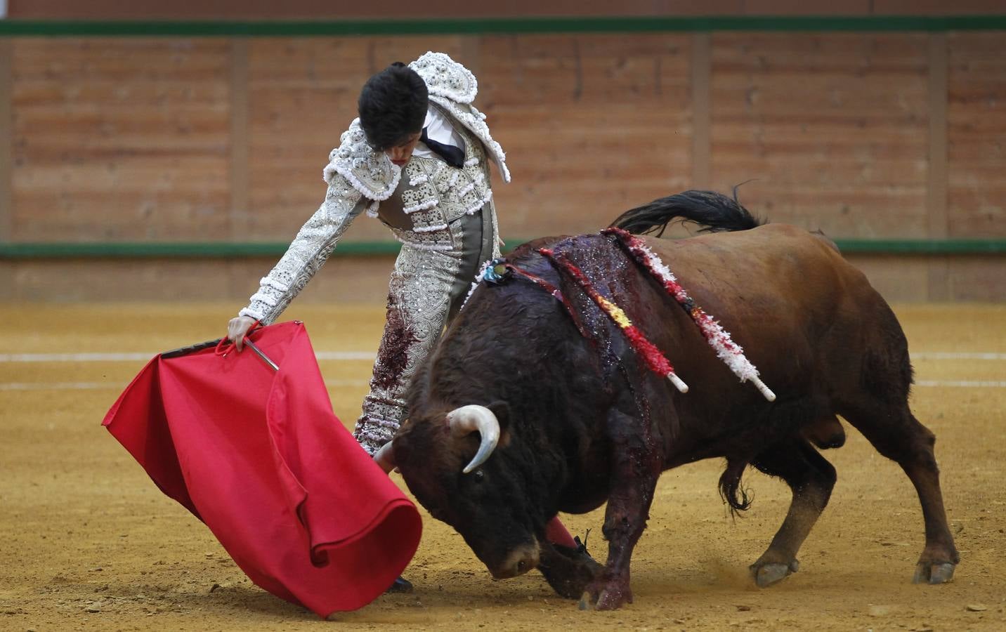 Solitaria oreja para Lorenzo