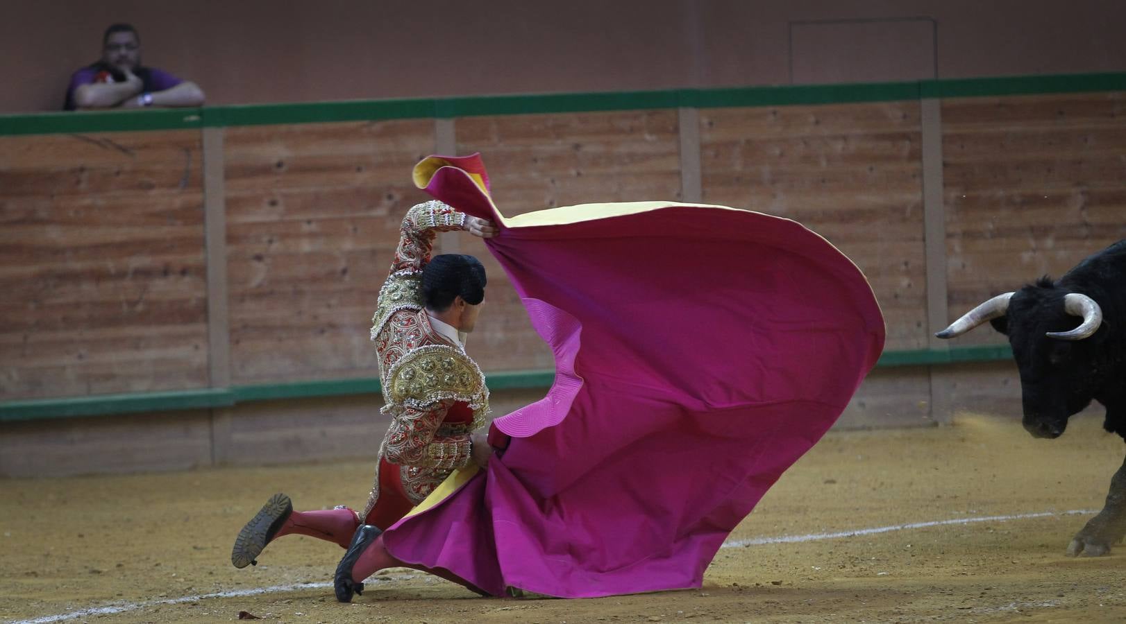 Solitaria oreja para Lorenzo