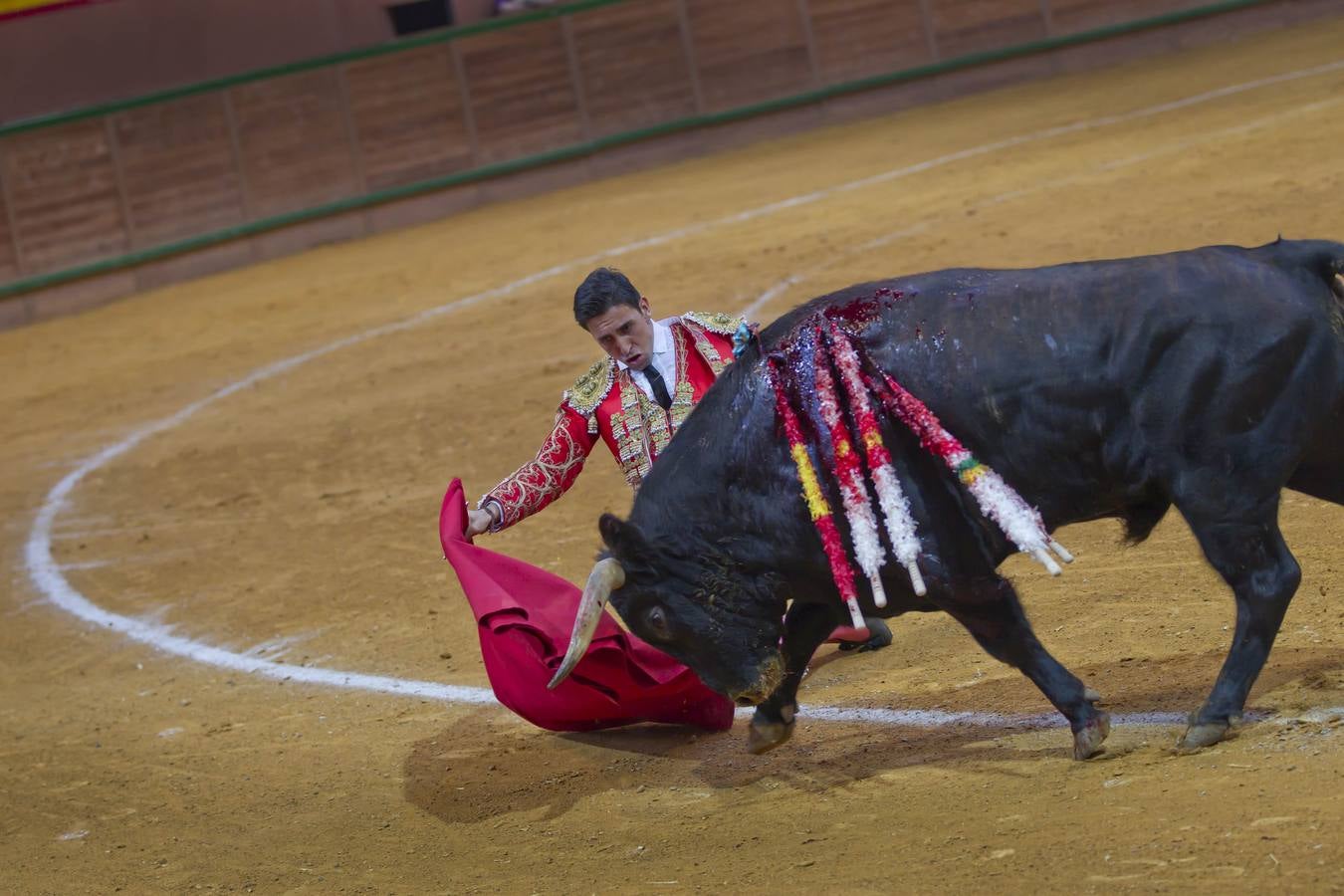 Solitaria oreja para Lorenzo