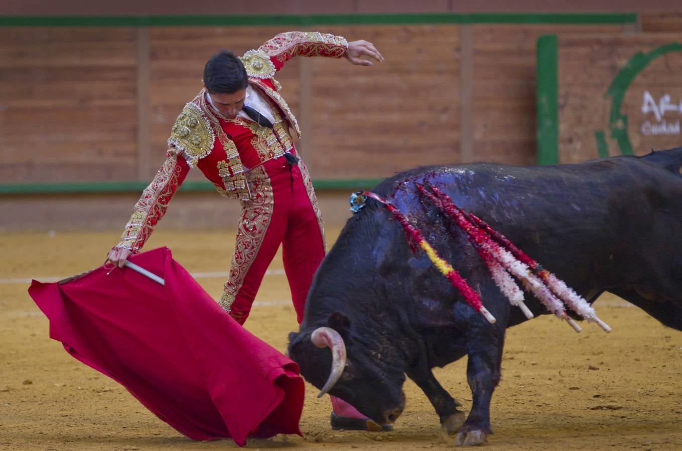 Solitaria oreja para Lorenzo