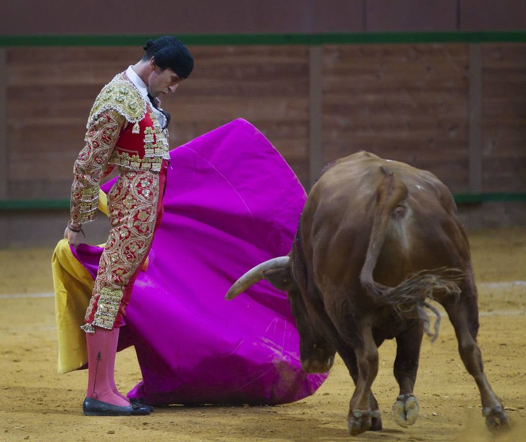 Solitaria oreja para Lorenzo