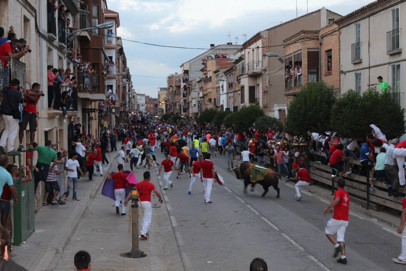 Entre jotas y toros en Rincón