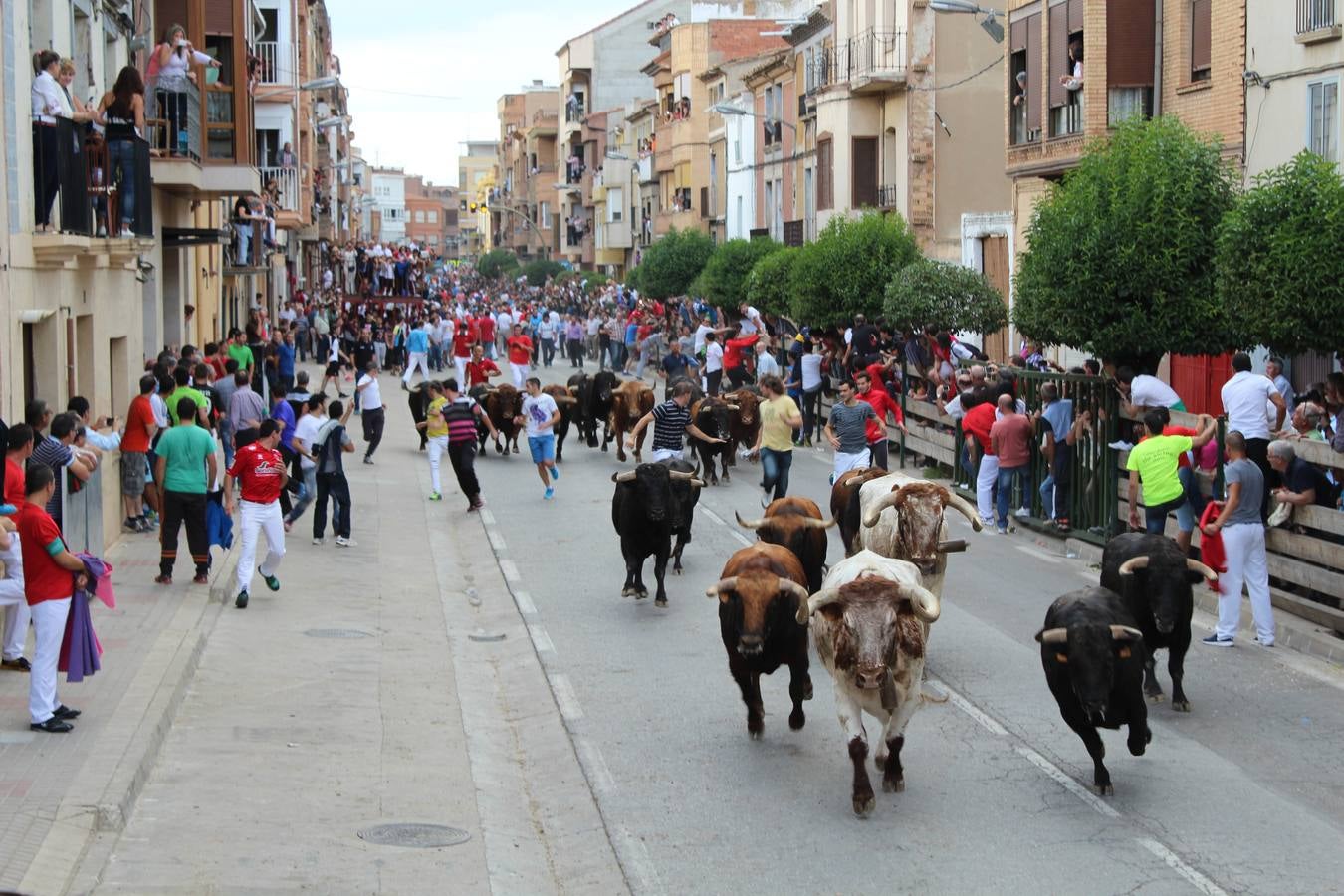 Entre jotas y toros en Rincón