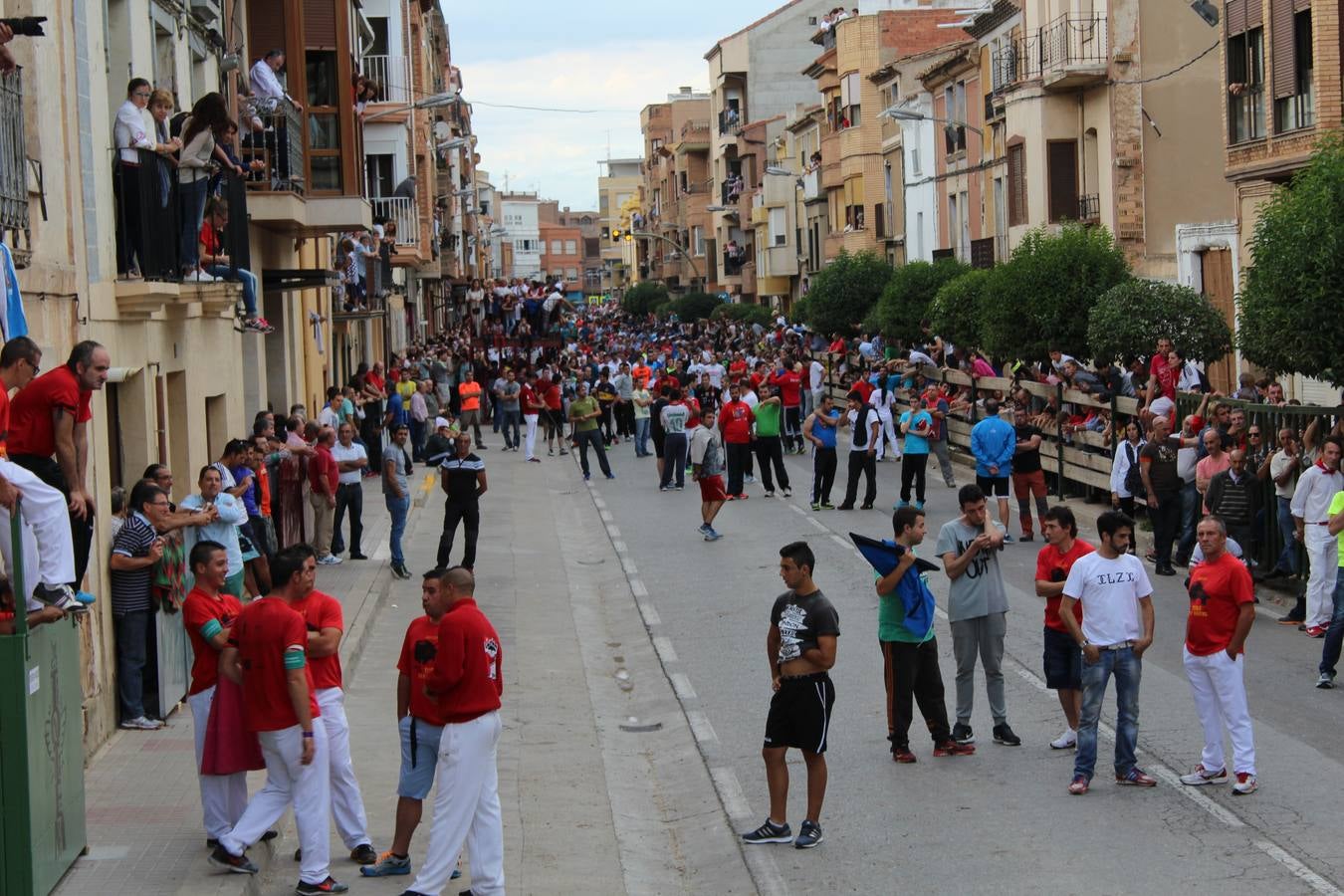 Entre jotas y toros en Rincón