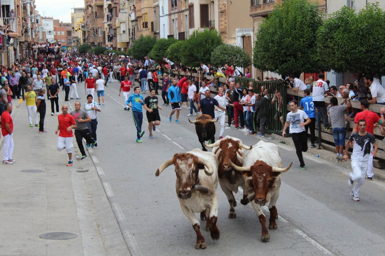 Entre jotas y toros en Rincón