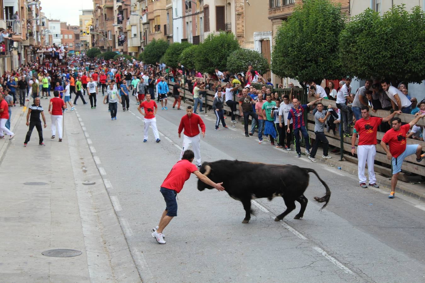 Entre jotas y toros en Rincón