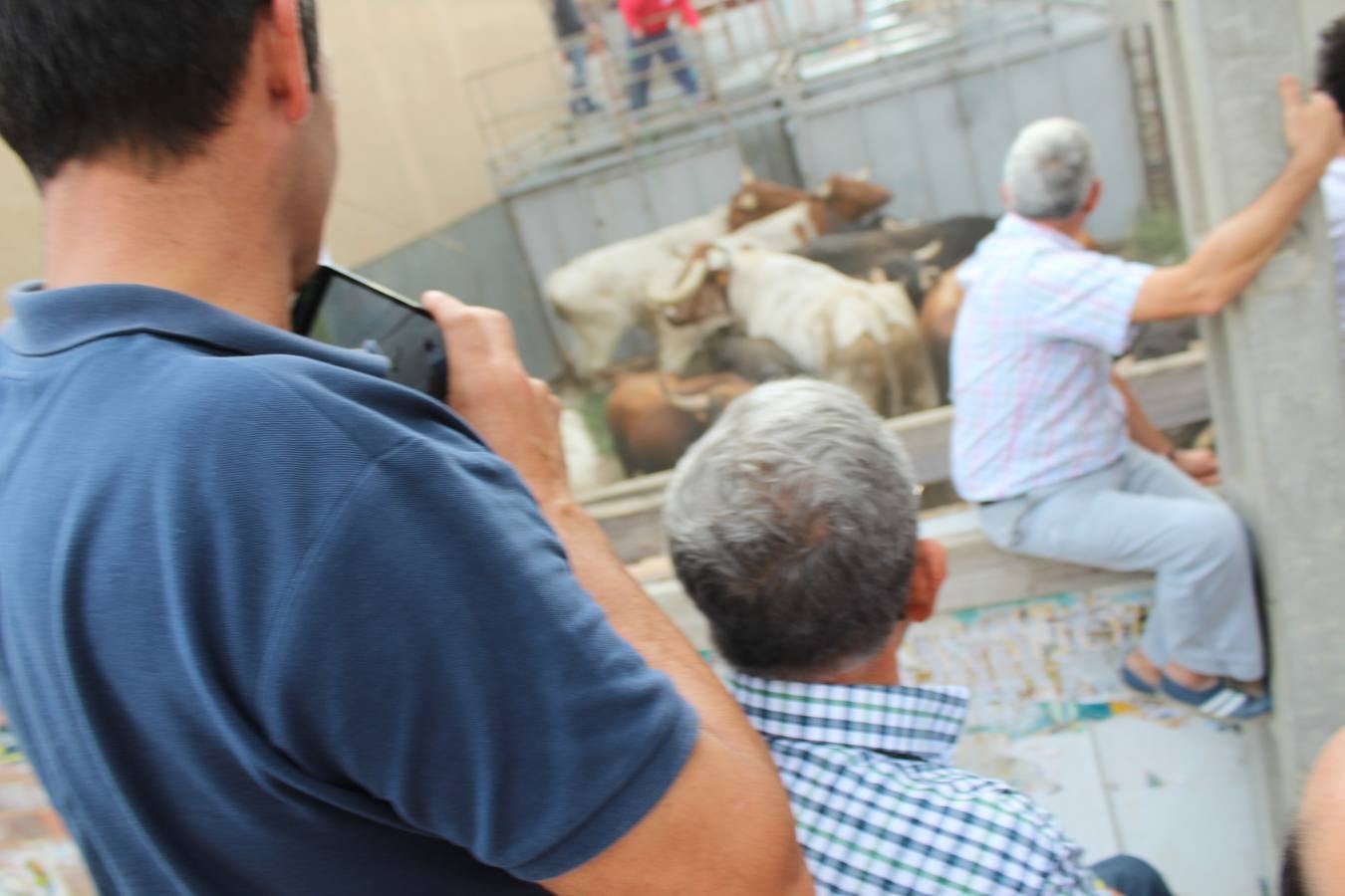 Entre jotas y toros en Rincón