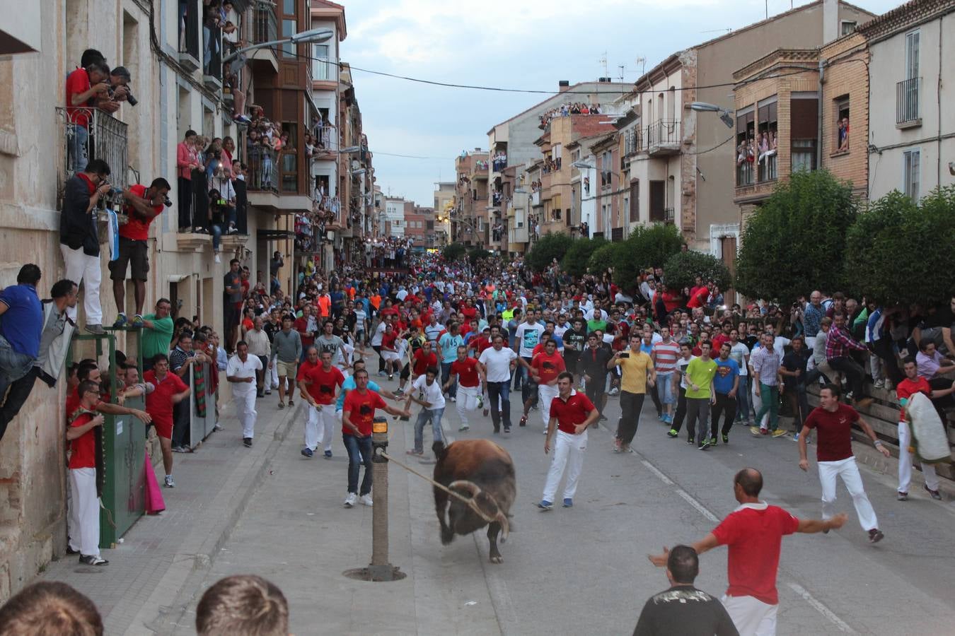 Entre jotas y toros en Rincón