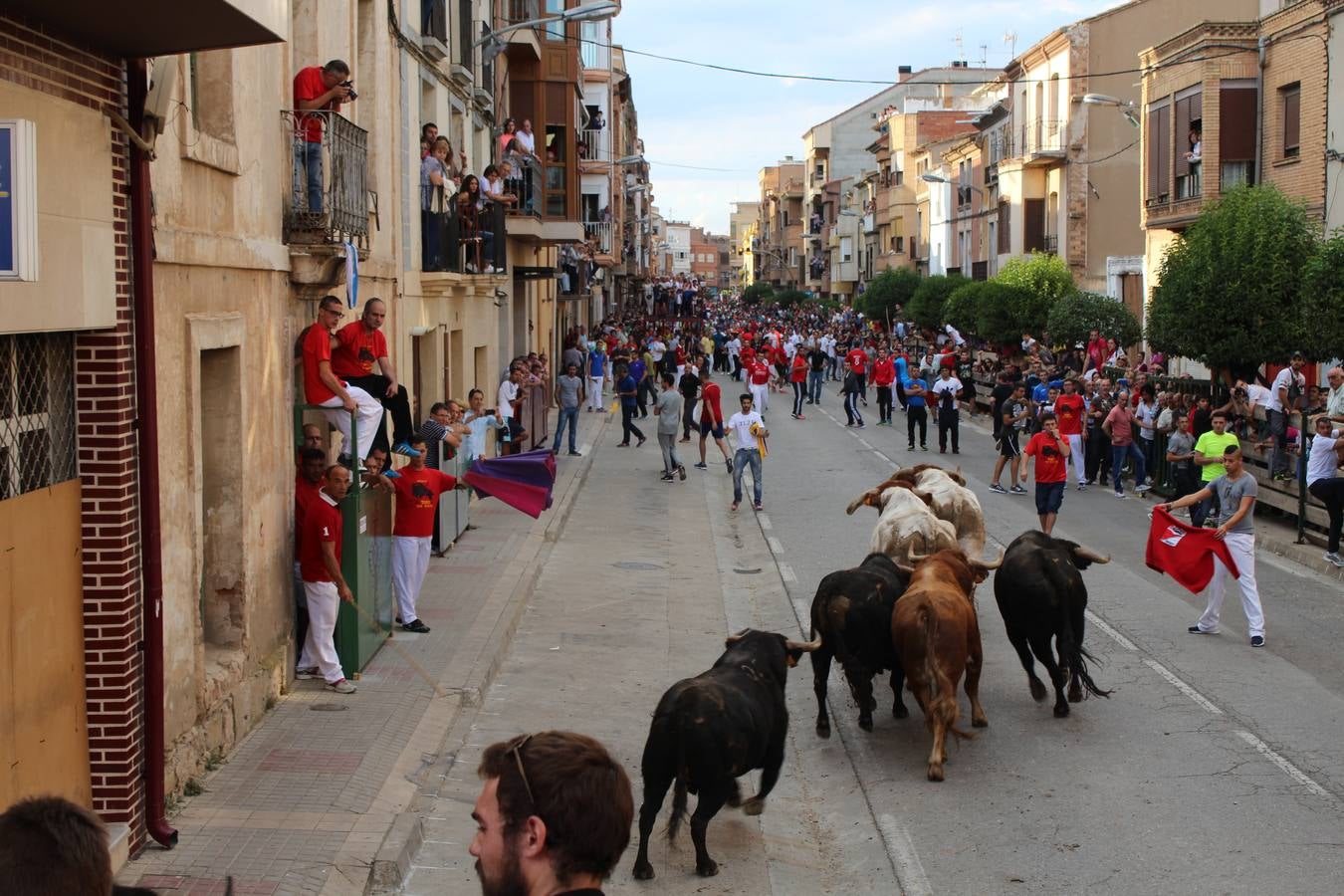 Entre jotas y toros en Rincón