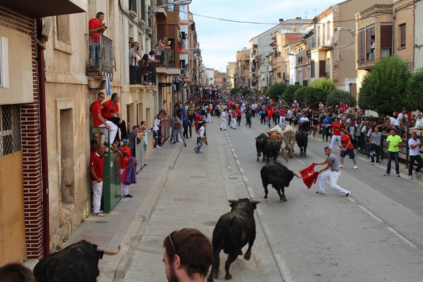 Entre jotas y toros en Rincón