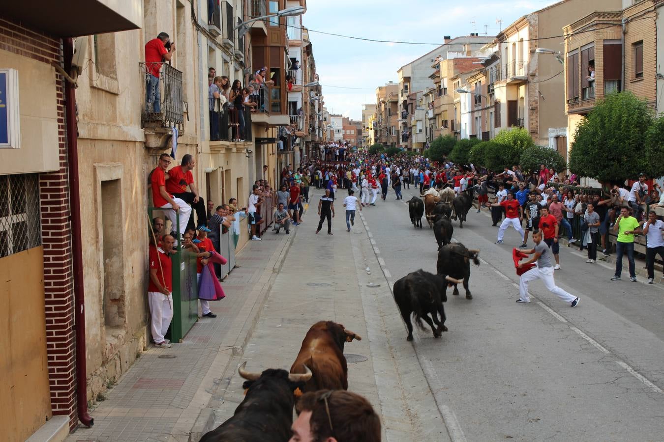 Entre jotas y toros en Rincón