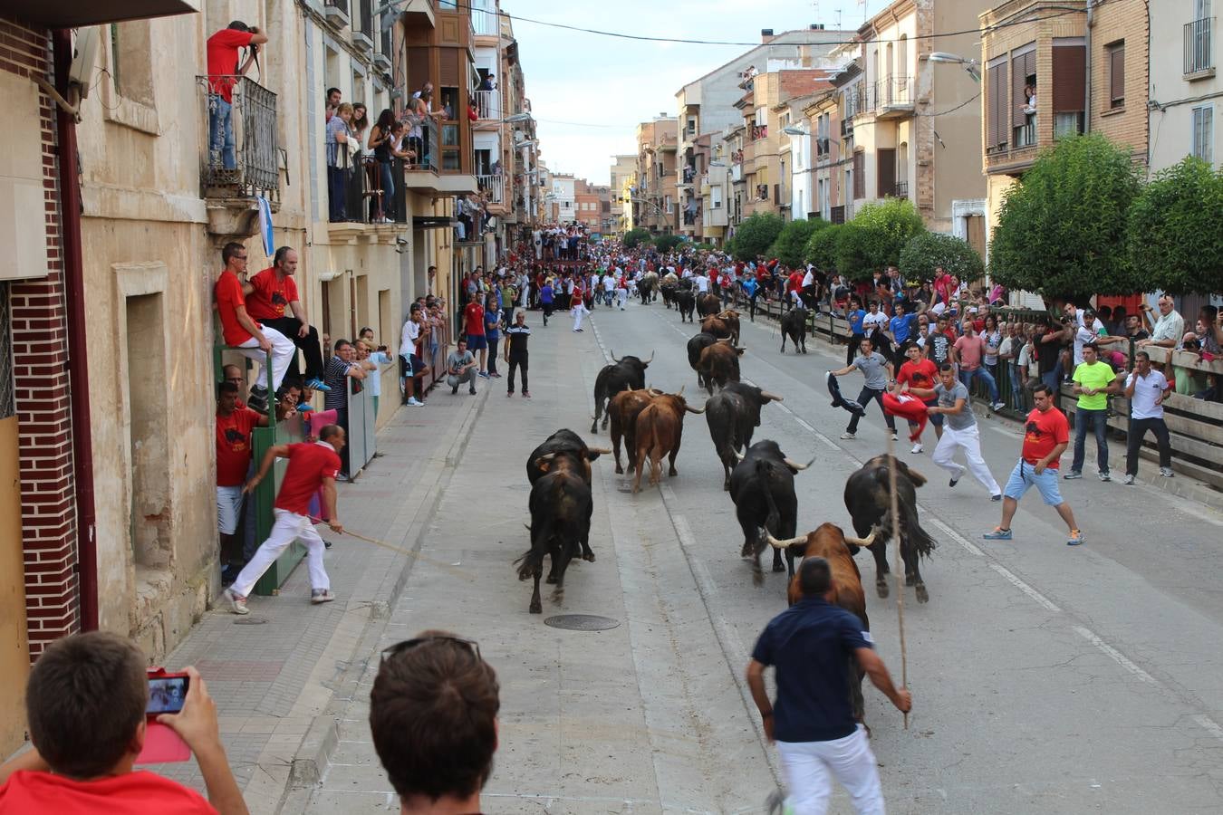 Entre jotas y toros en Rincón