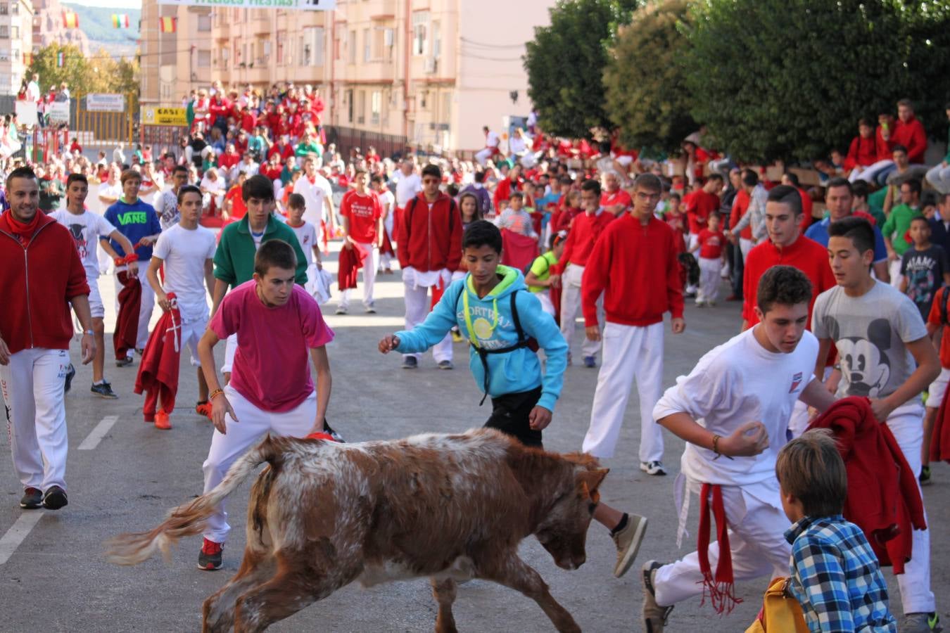 Último empujón a las fiestas de Arnedo