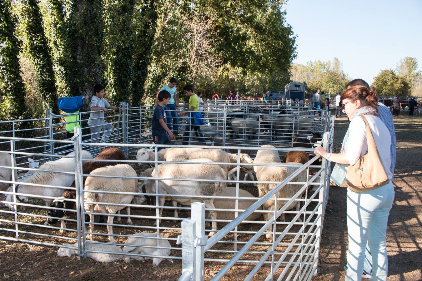 XIII Feria Ganadera y de Artesanía Agroalimentaria, de Ojacastro