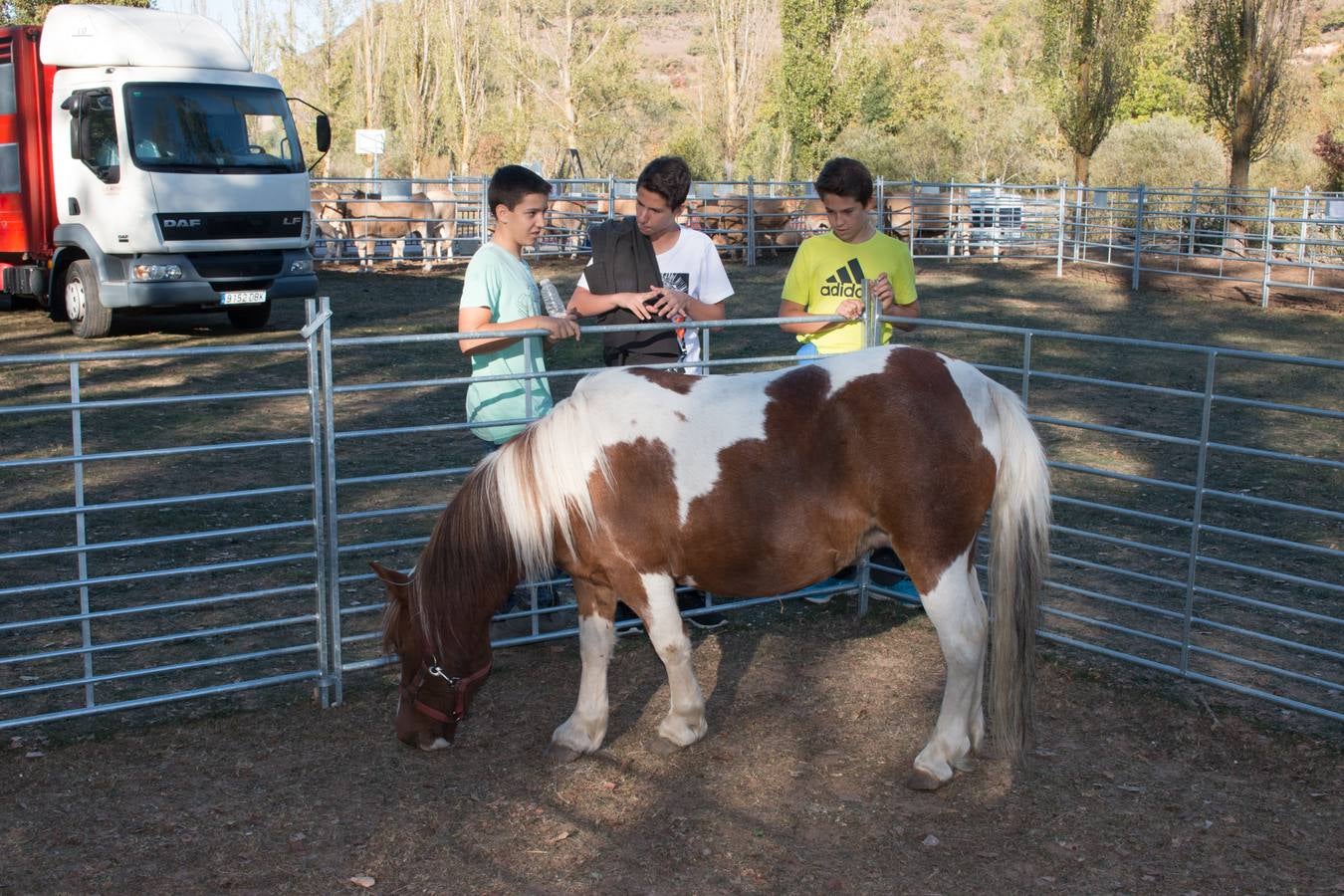 XIII Feria Ganadera y de Artesanía Agroalimentaria, de Ojacastro