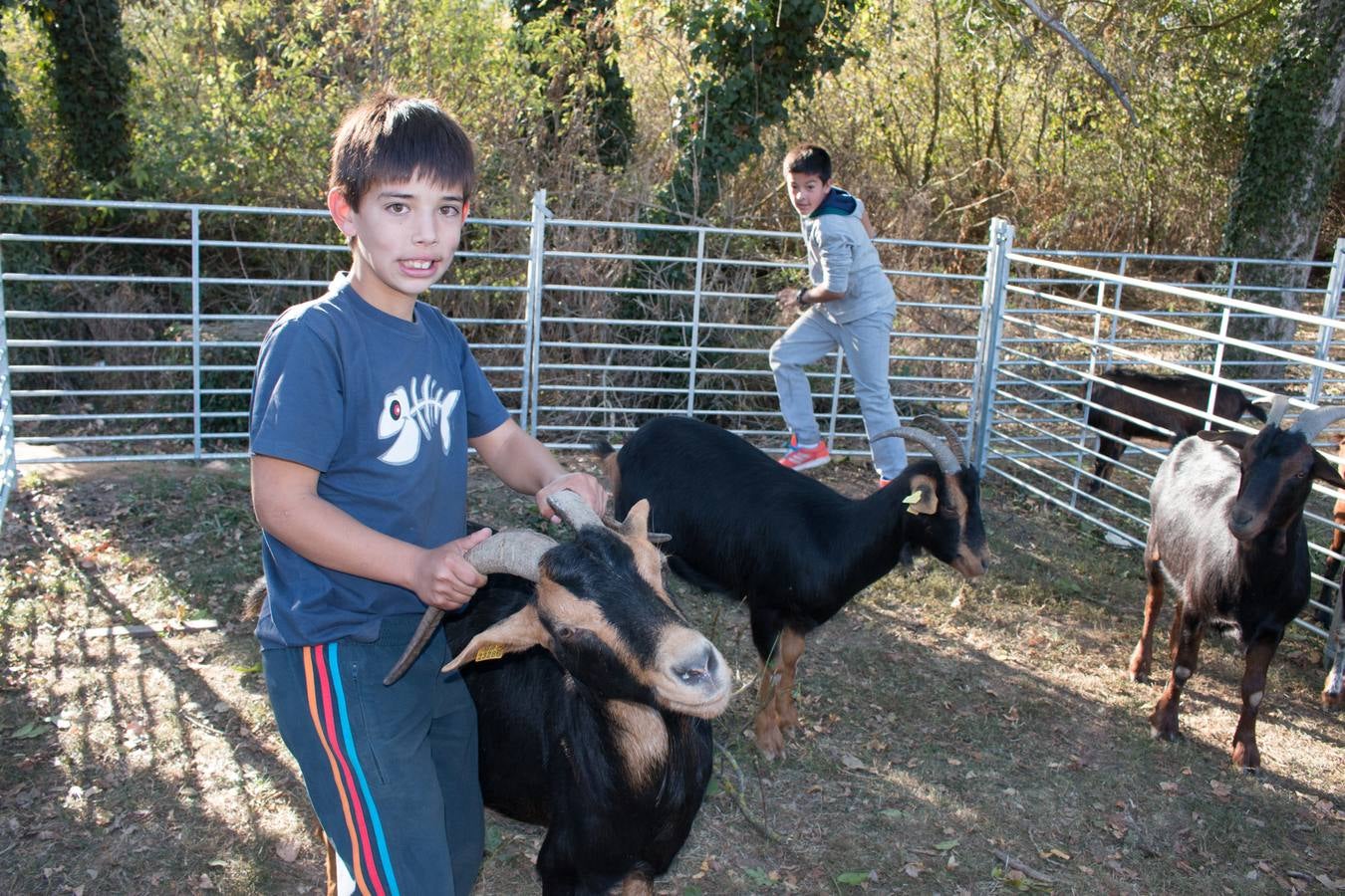 XIII Feria Ganadera y de Artesanía Agroalimentaria, de Ojacastro