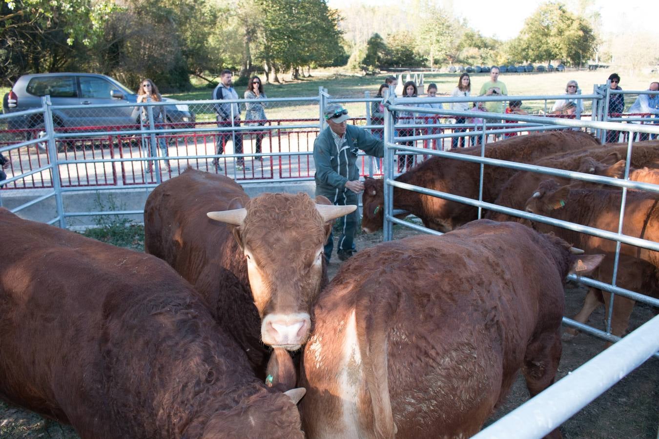 XIII Feria Ganadera y de Artesanía Agroalimentaria, de Ojacastro