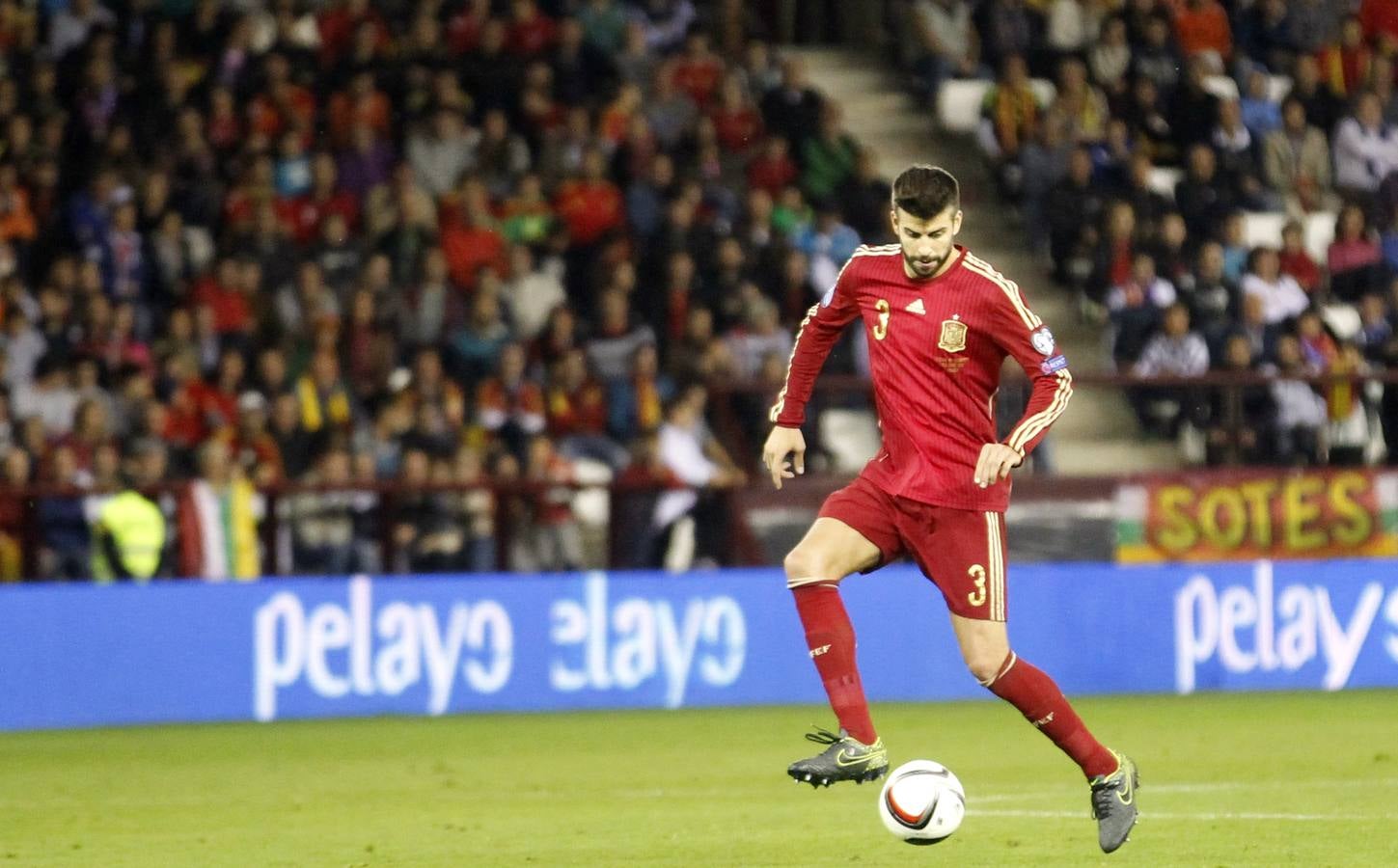 Fiesta en Las Gaunas con La Roja (III)