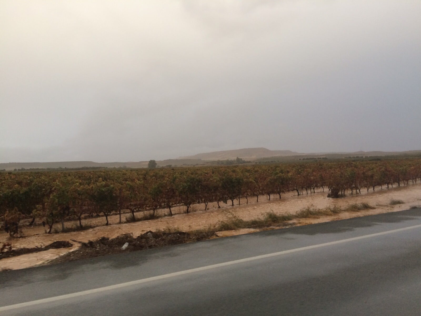 Ausejo. Ausejo ha sido una zona muy afectada