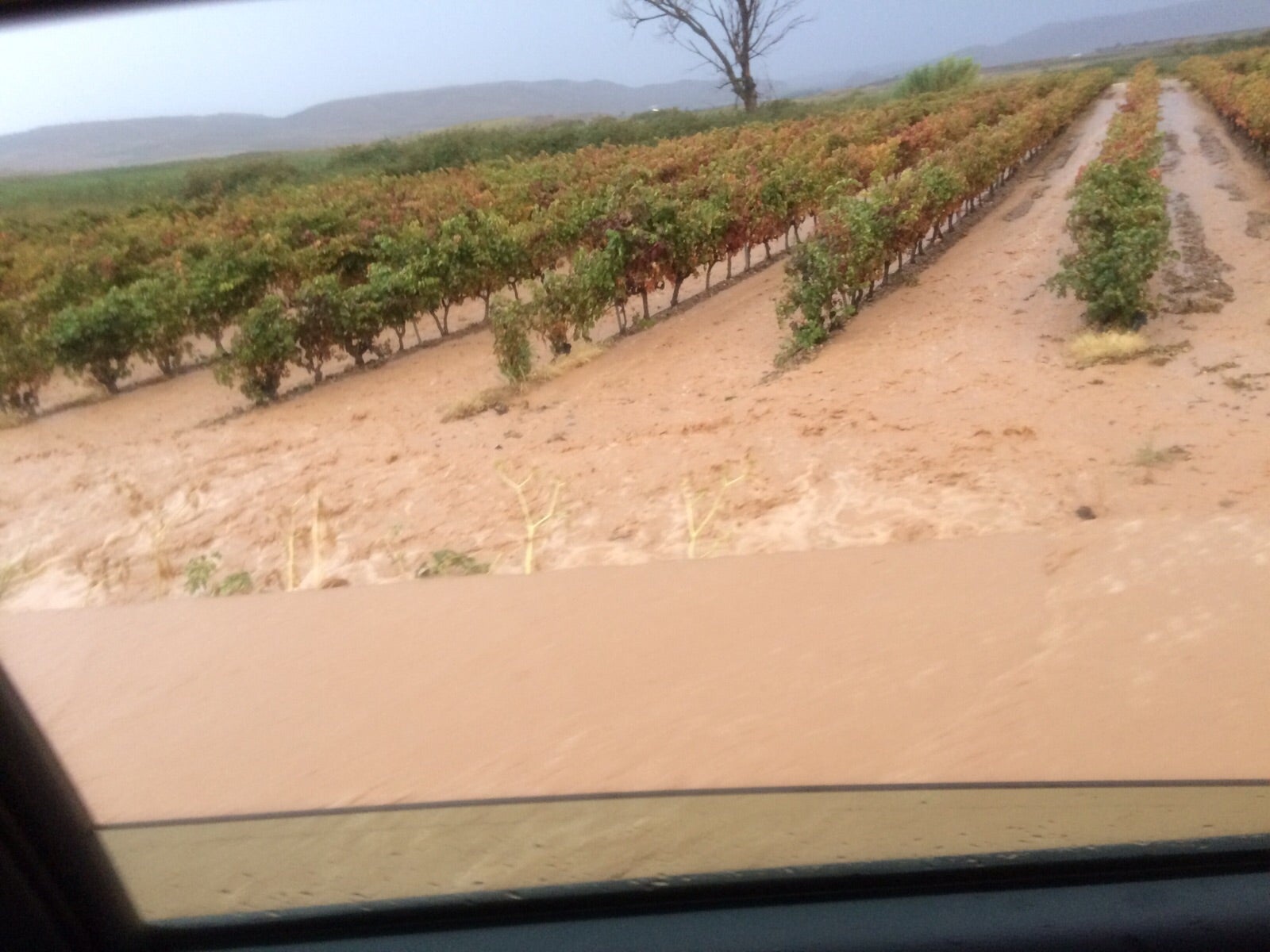 Ausejo. Ausejo ha sido una zona muy afectada