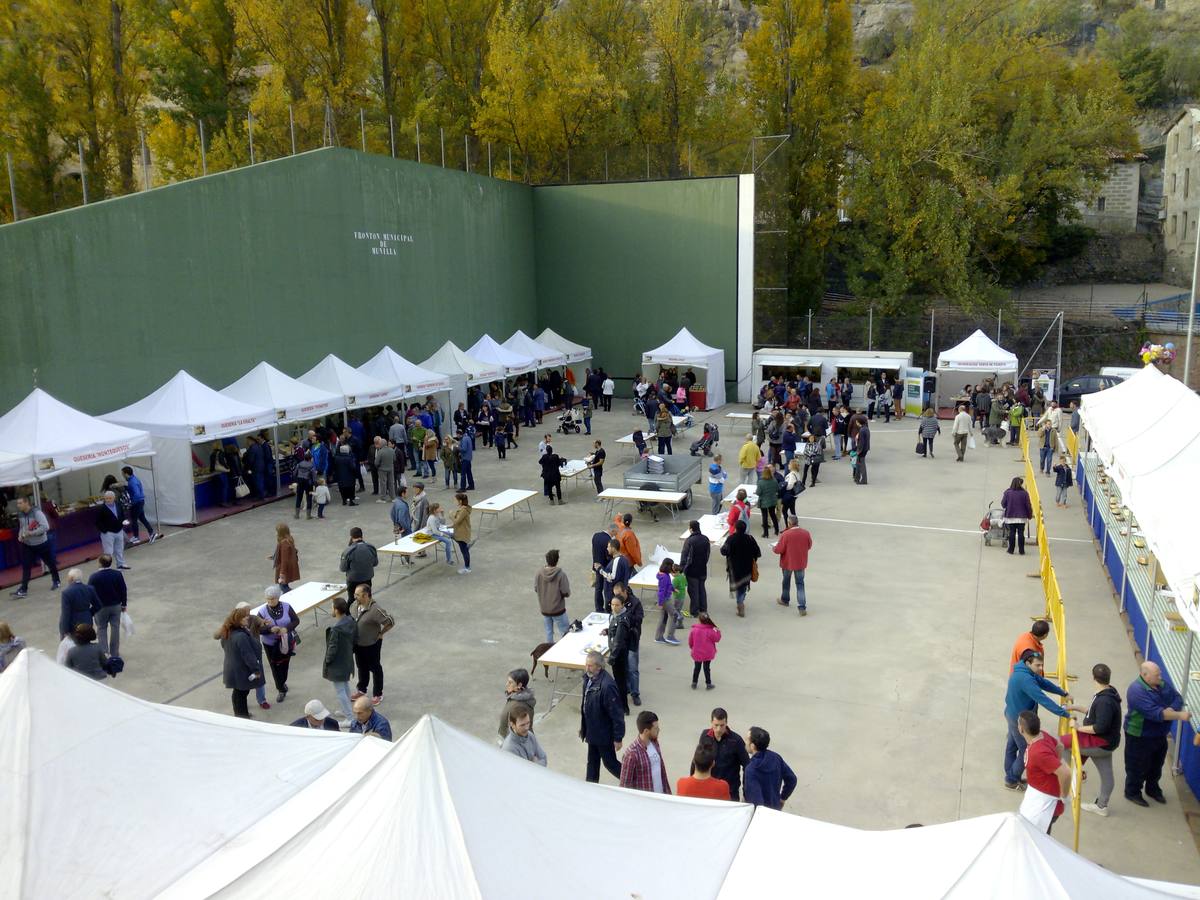 Jornadas del Queso de Munilla