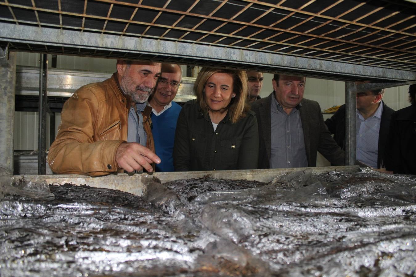 Báñez, de cazuelillas, setas y champis por Calahorra y Autol