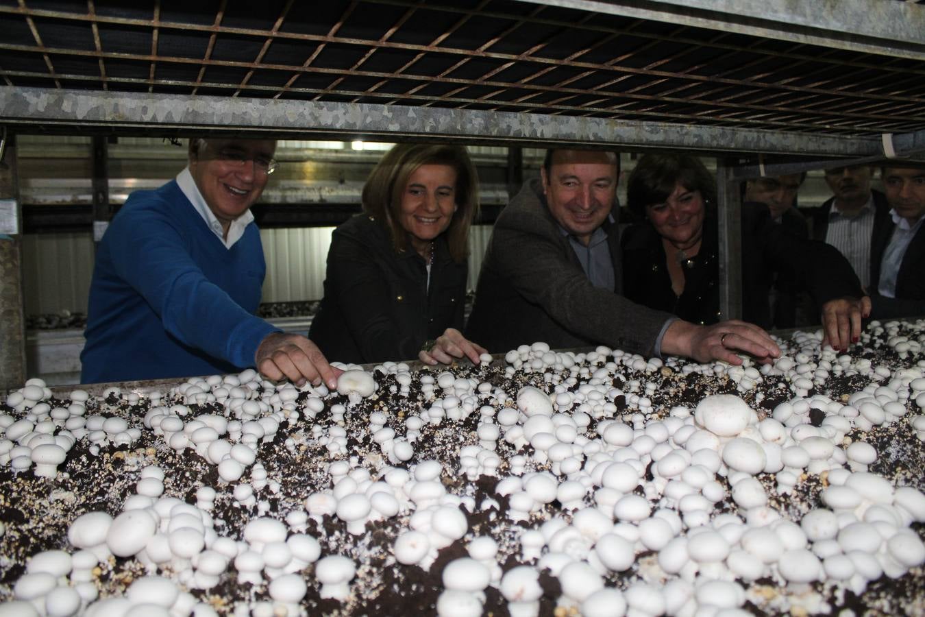 Báñez, de cazuelillas, setas y champis por Calahorra y Autol