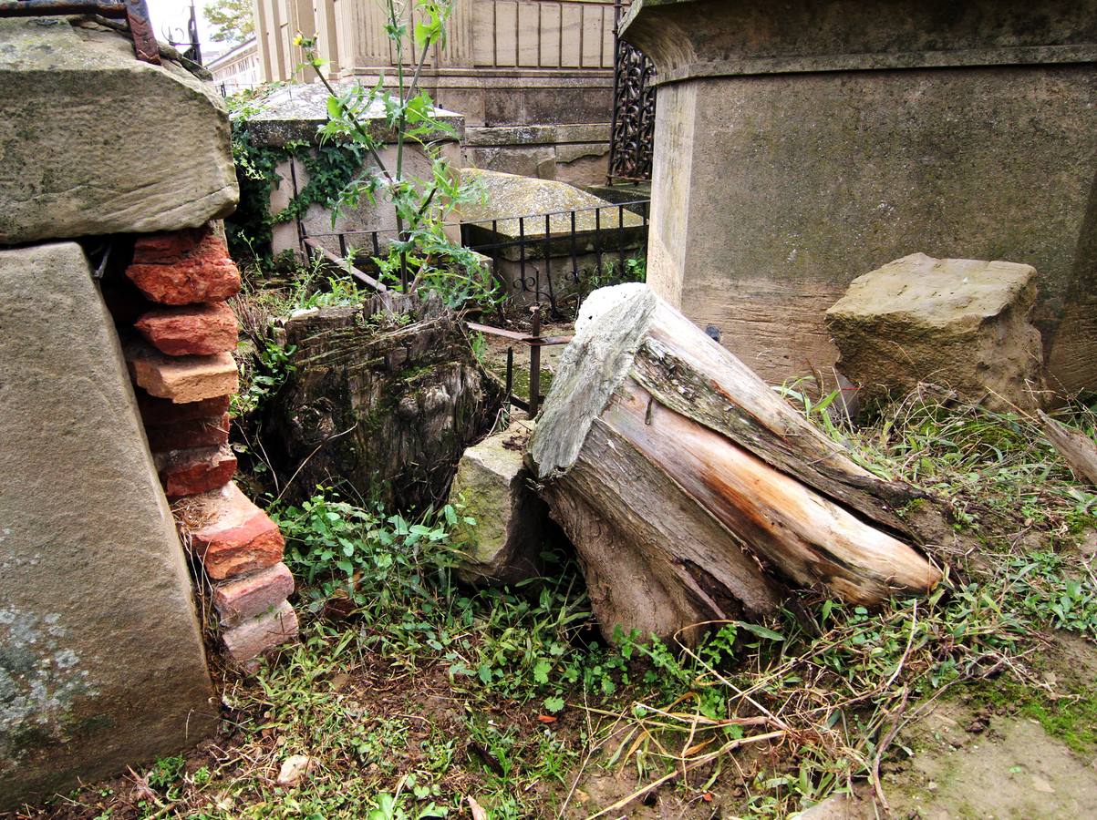 La segunda muerte de los ilustres