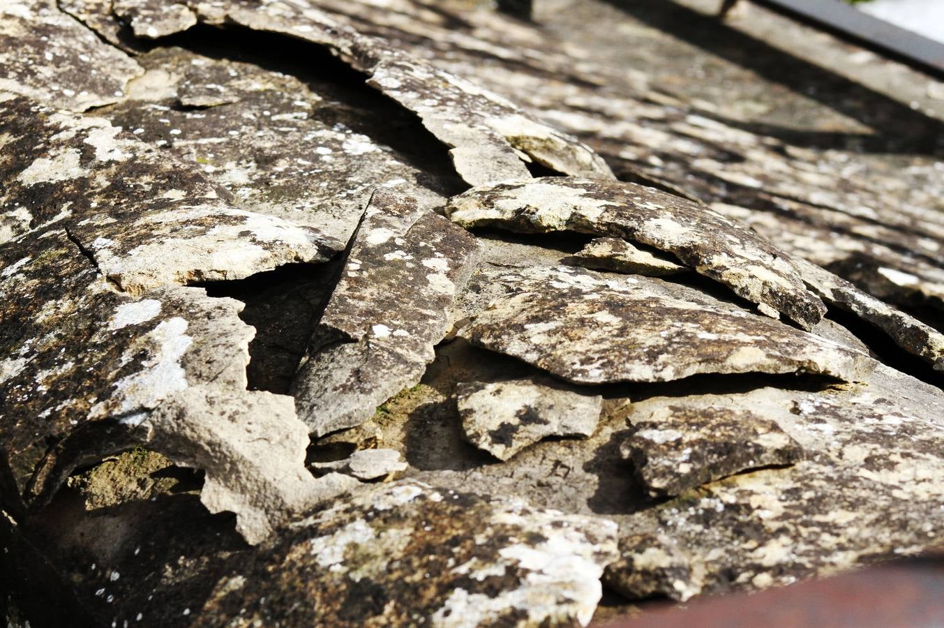 La segunda muerte de los ilustres