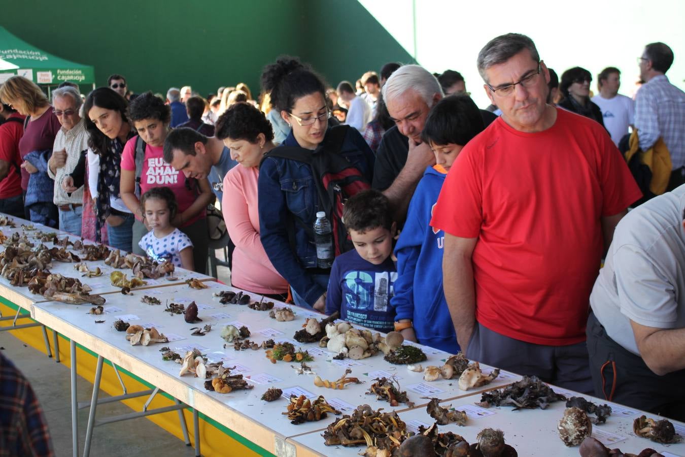 Jornadas micológicas en Arnedillo