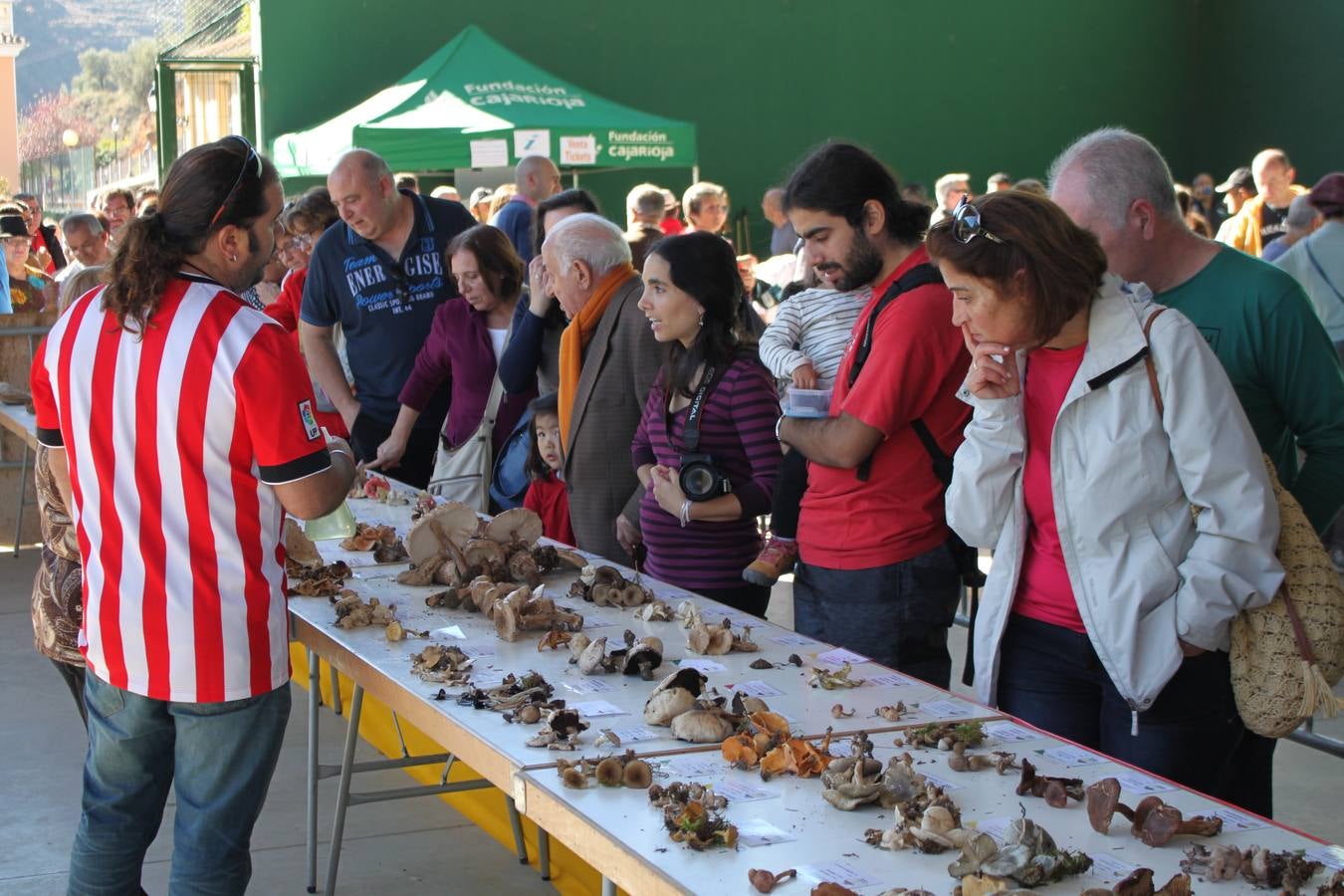 Jornadas micológicas en Arnedillo