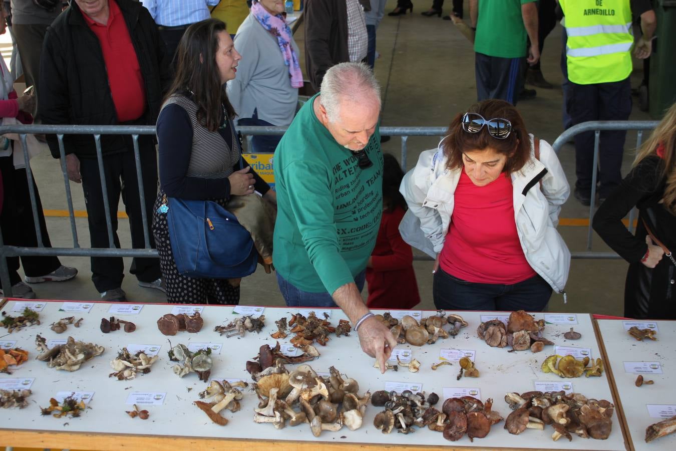 Jornadas micológicas en Arnedillo